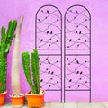 2 Pack Metal Garden Trellis 71" x 19.7"
