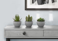Artificial Succulent Plant Set of 3