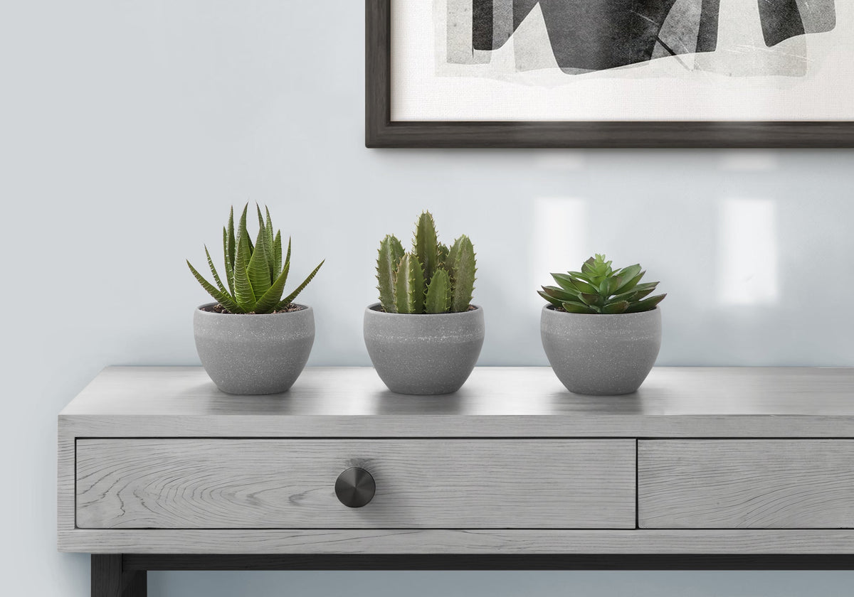 Artificial Succulent Plant Set of 3