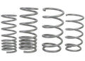 Whiteline Coil Springs - Lowered