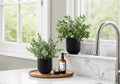 Artificial Eucalyptus Grass Plant Set of 2 - 11" Tall