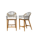 Bar Stools Set of 2 with Arm and Backrest