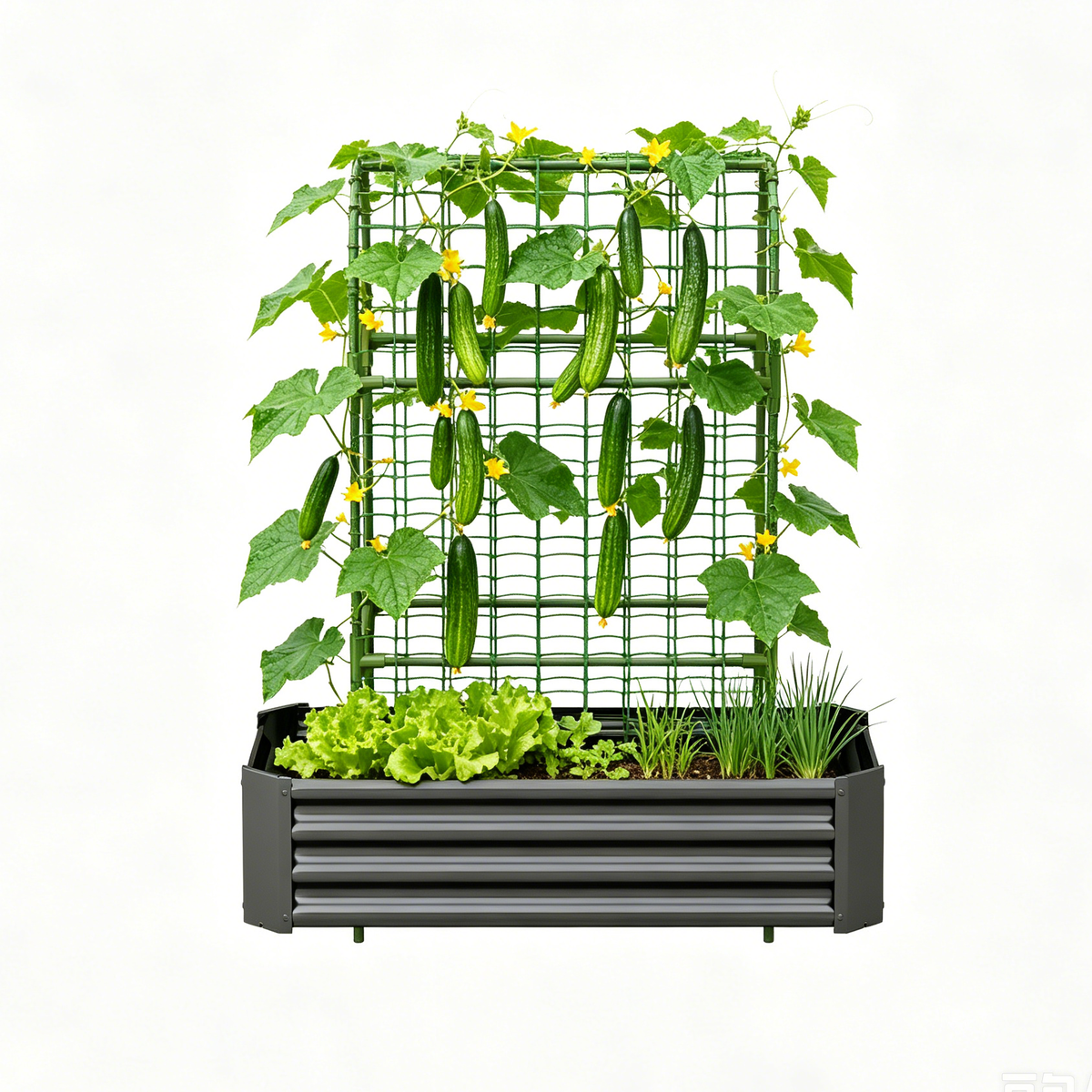 2-in-1 Raised Garden Bed with Trellis