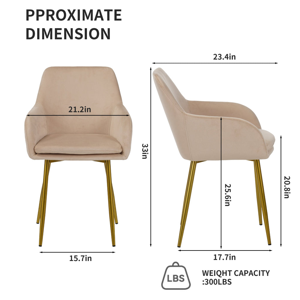 Velvet Dining Chair Set - 2 Pieces