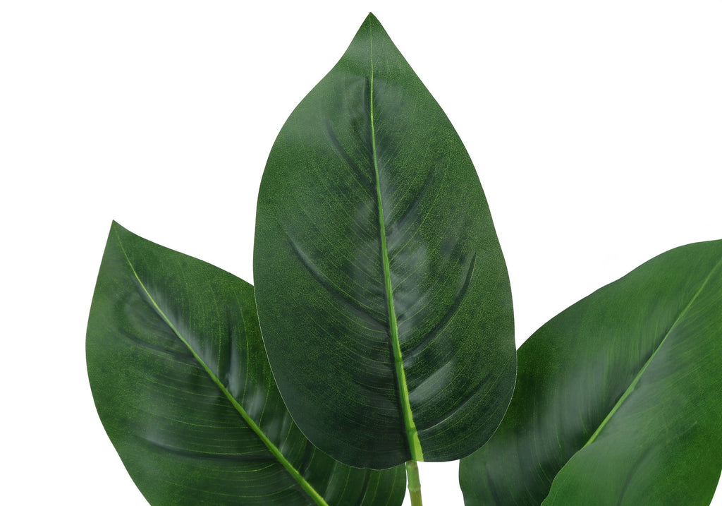 Artificial Plant - 17" Tall Aureum - Indoor Faux Greenery