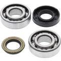 All Balls Racing 04-06 Polaris Predator 50 Crank Shaft Bearing Kit 24-1083