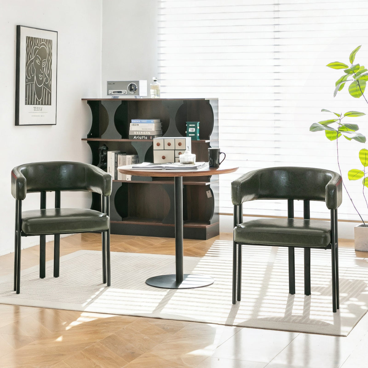 Modern Dining Chairs Set of 2