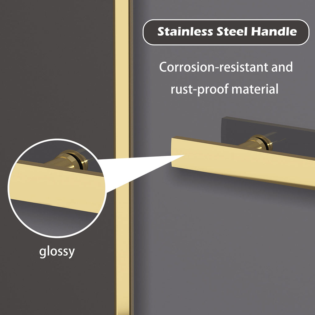 Dual Sliding Frameless Shower Door