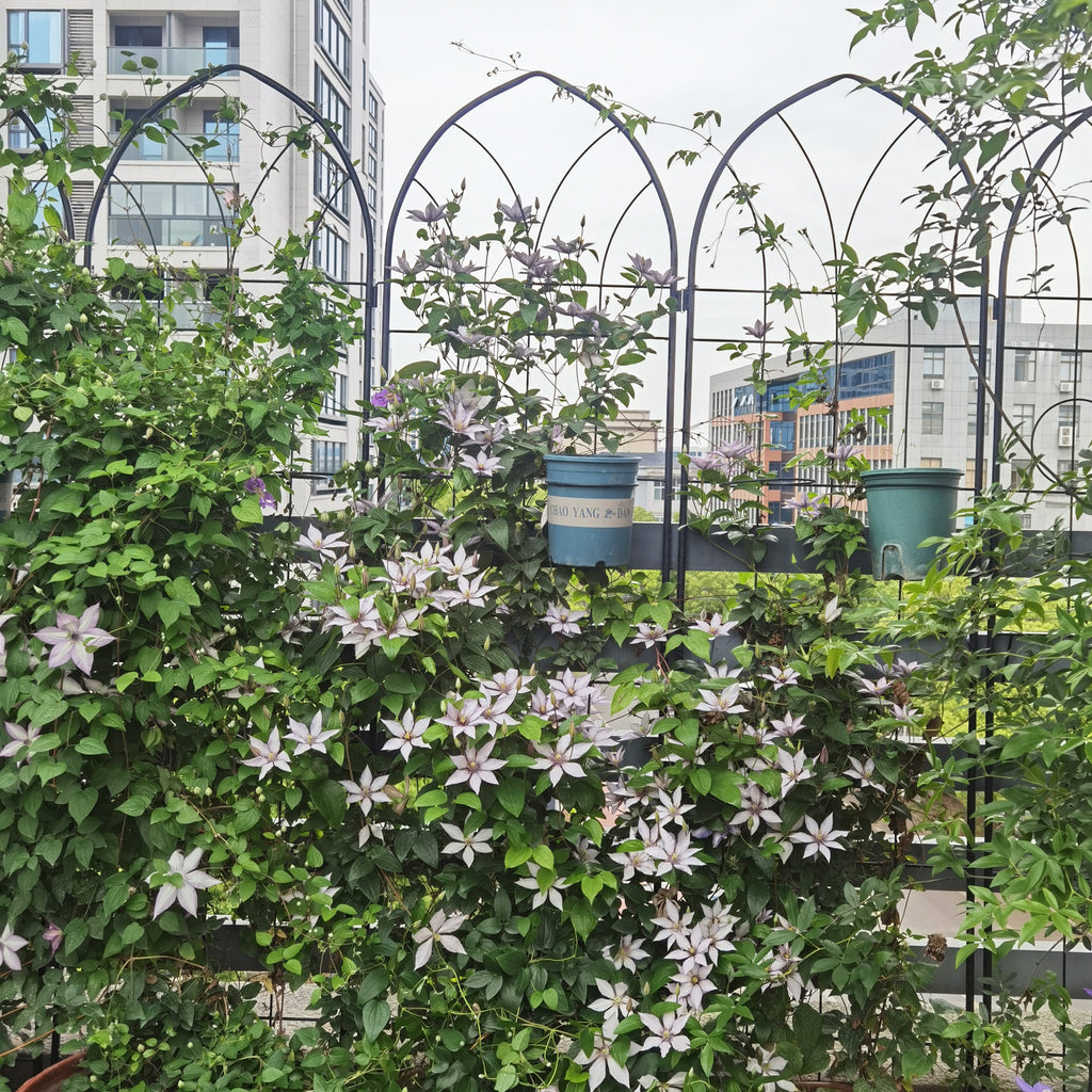 4 Pack Metal Garden Trellis - 78.7" x 19.7"