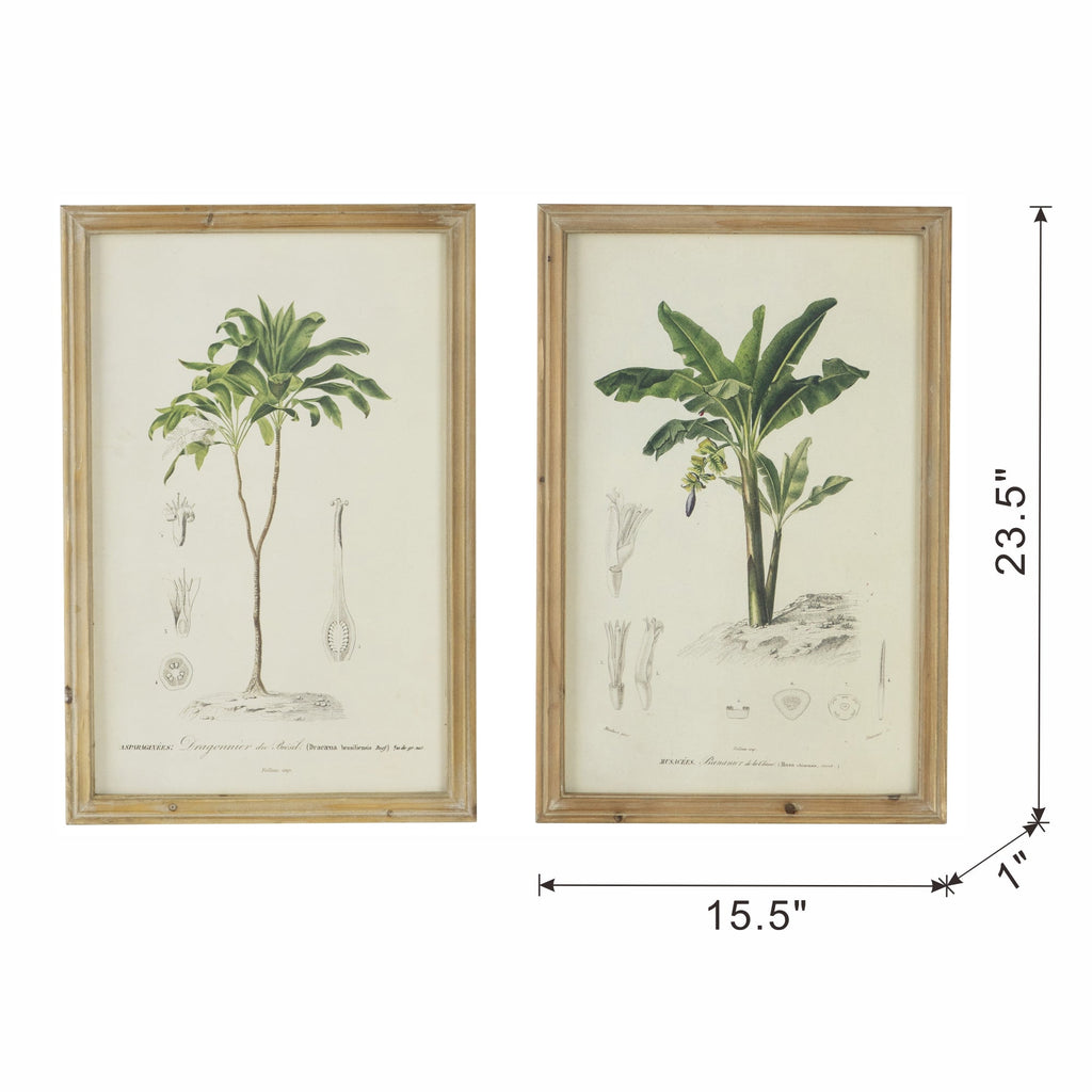 Set of 2 Tree Framed Prints