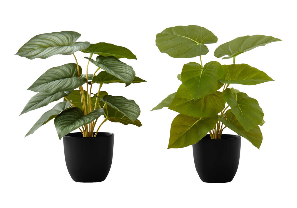 Artificial Plant Set of 2, 13" Tall Epipremnum