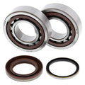 All Balls Racing 05-12 KTM SX-F 250 Crank Shaft Bearing Kit 24-1105