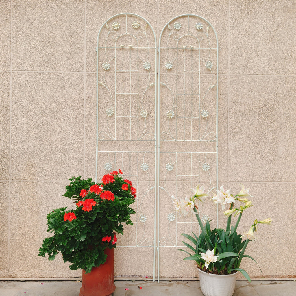 2 Pack Metal Garden Trellis for Climbing Plants