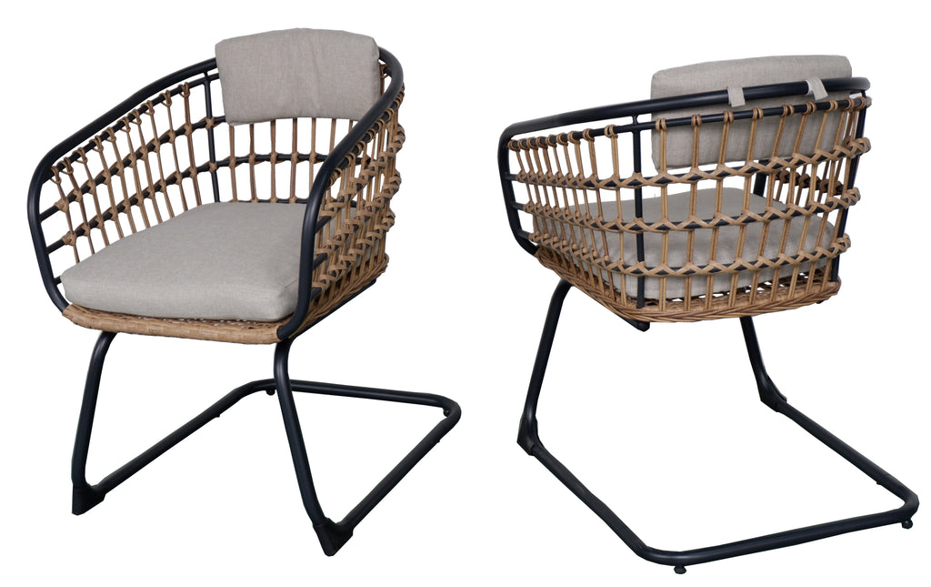 Wicker Dining Chair Set of 2