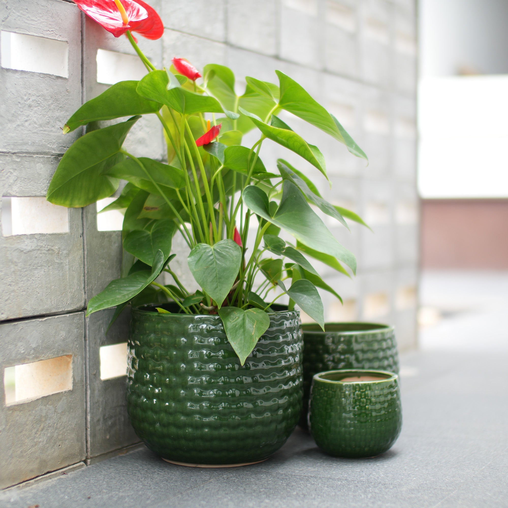 Handmade Glazed Ceramic Planter Set of 3