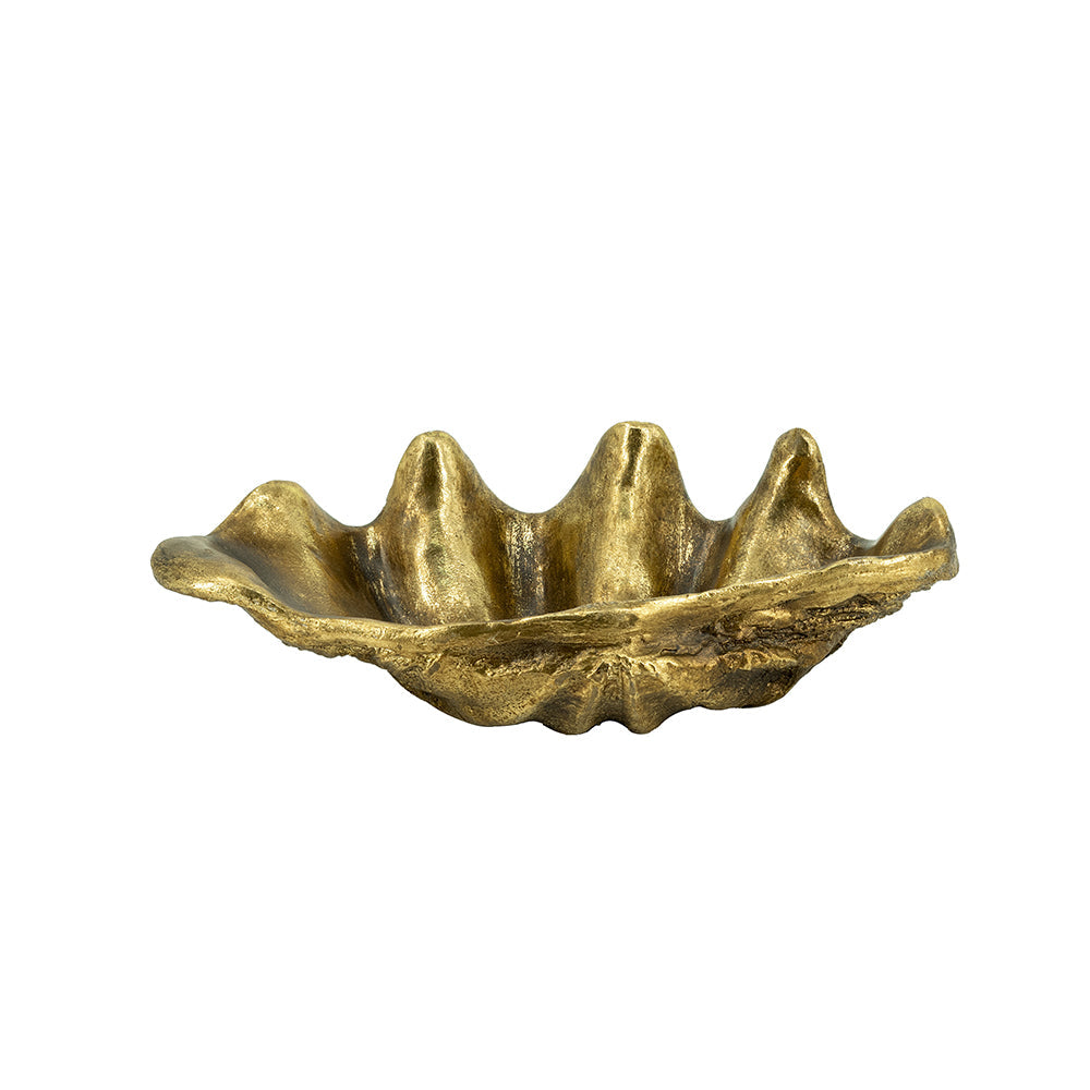 19.7" x 10.6" x 5.5" Decorative Shell Bowl