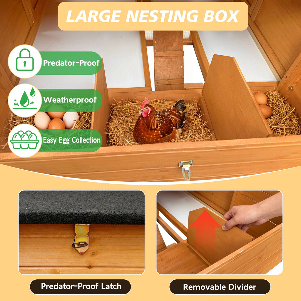 Chicken House for Outdoor with Two Nesting Box