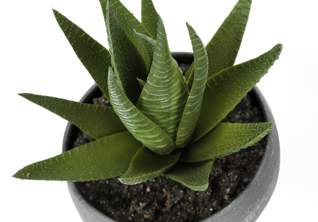 Artificial Succulent Plant Set of 3