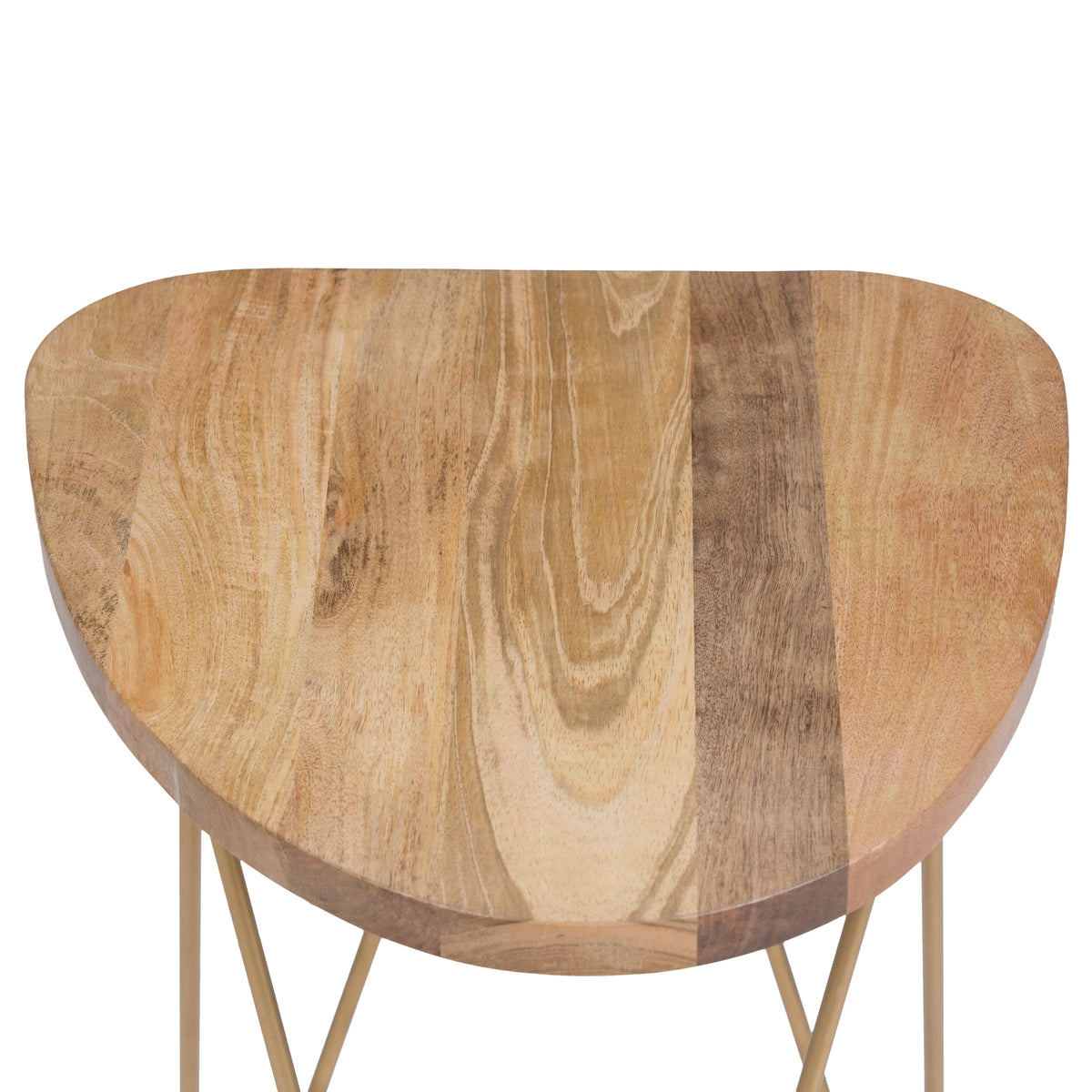 Patrice 18 Inch Wide Metal and Solid Mango Wood Accent Table