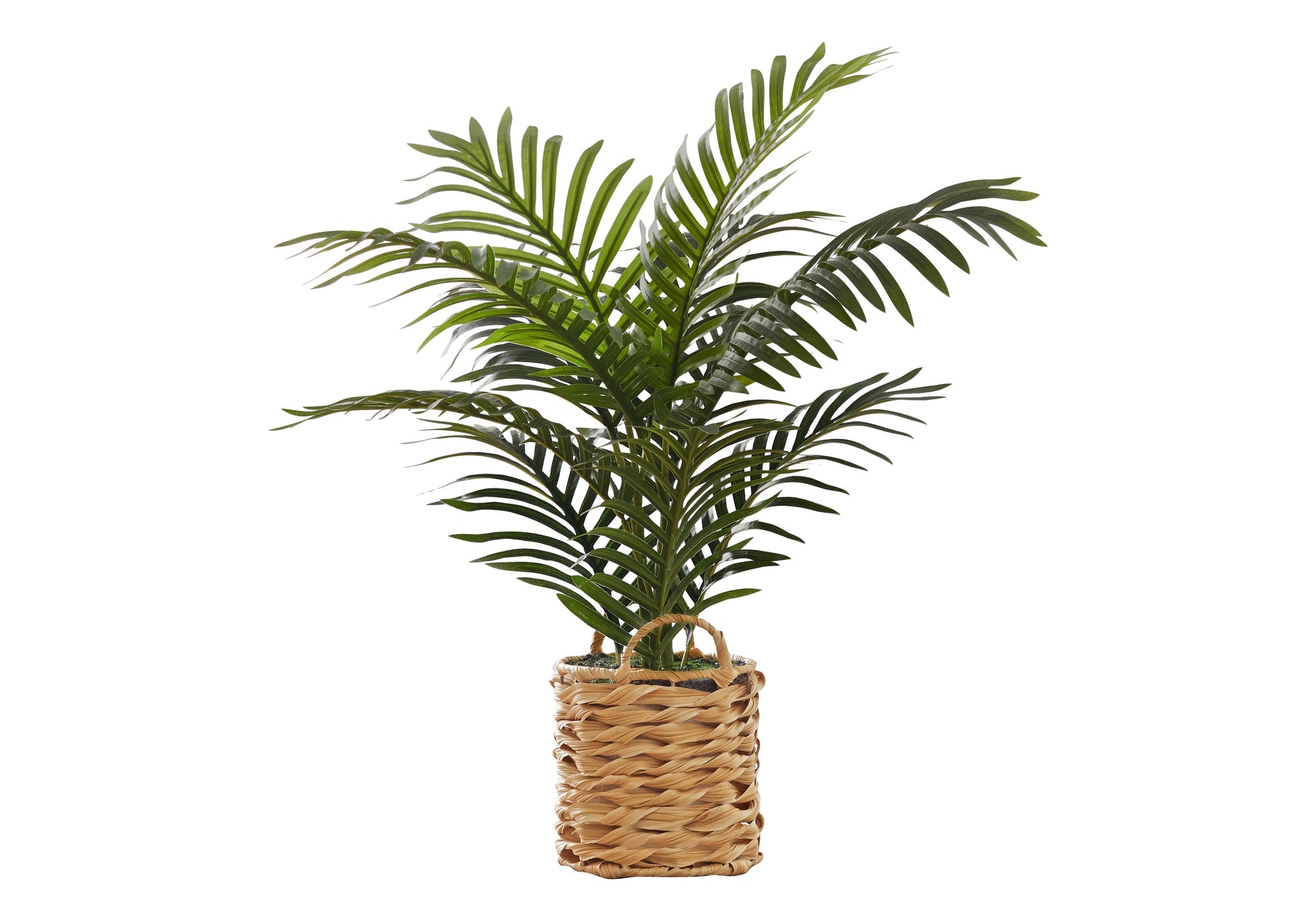 Artificial Indoor Palm Plant - 24" Tall