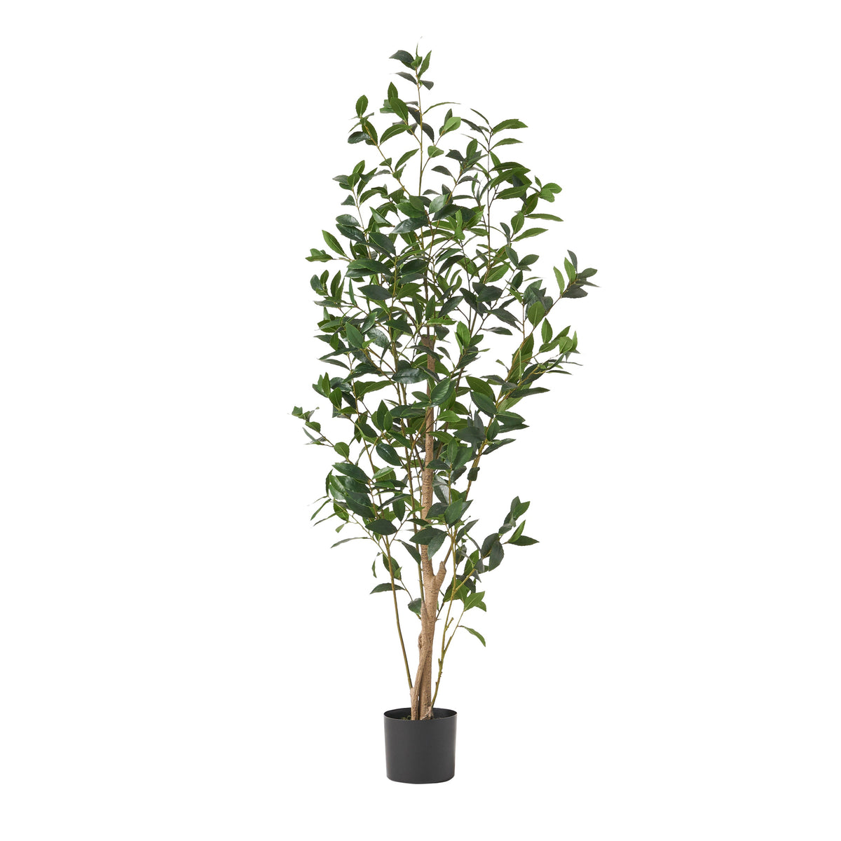 150cm Artificial Laurel Tree