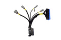 AEM Infinity 506/508(PN: 30-7106 & 30-7108) Plug & Play Jumper Harness