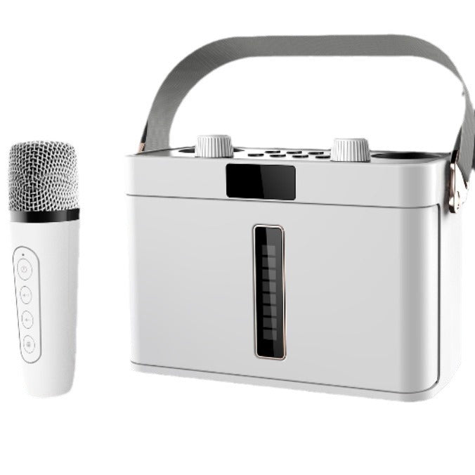 Outdoor Bluetooth Speaker Karaoke Double Microphone Classroom Teaching Meeting Party