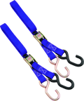 BikeMaster 1in Tiedown - Purple 100512