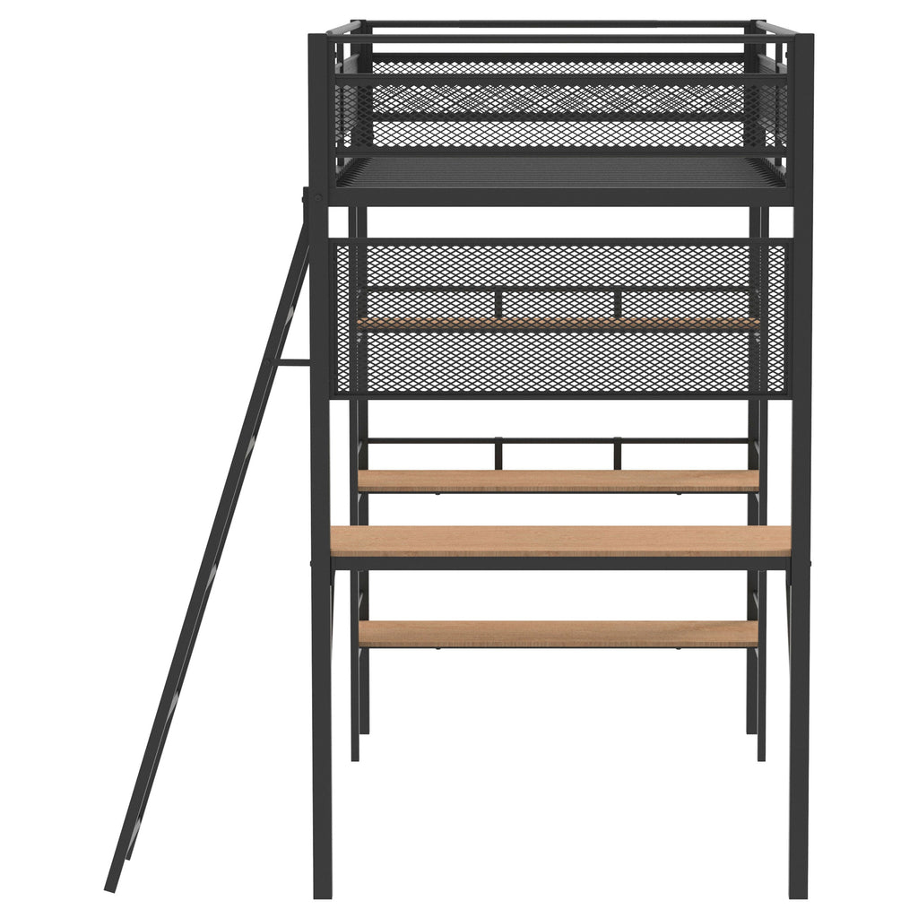 William Matte Twin Loft Bed
