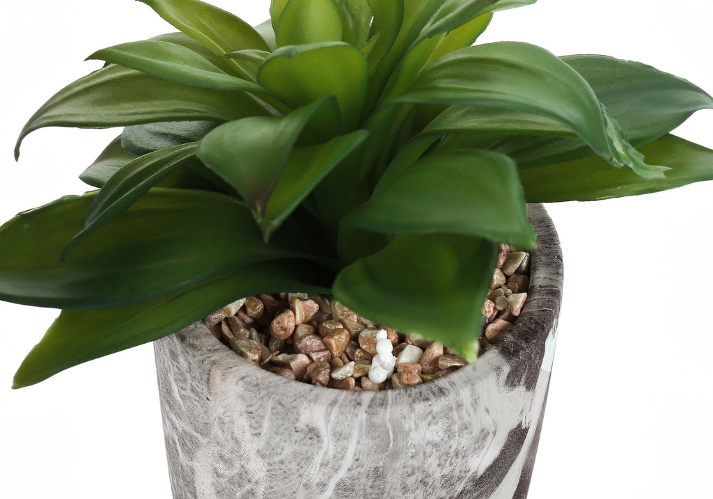 Artificial Plant Set of 2 - Indoor Succulent