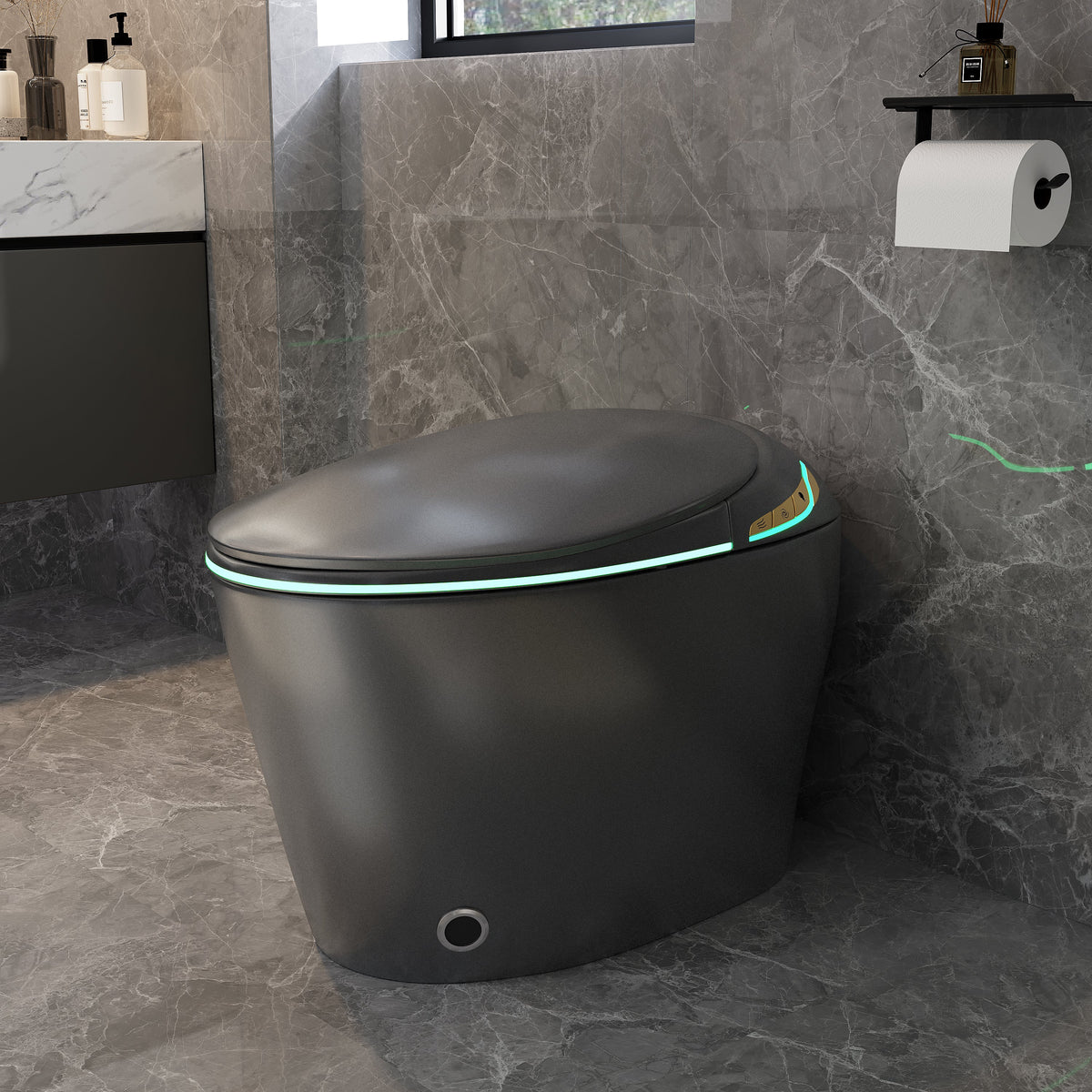 Unique Smart Toilet with Built-in Bidet