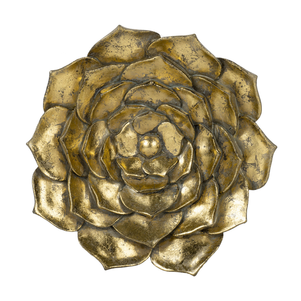 D10x1.4" Succulent Wall Plaque - 2 Piece