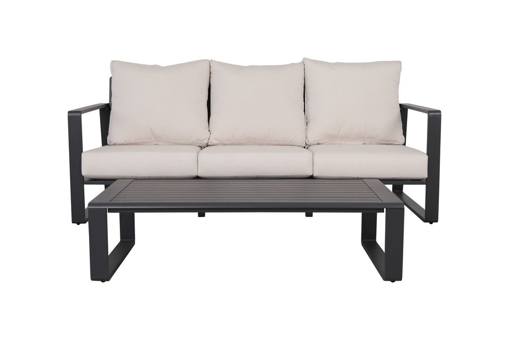 Three-Person Sofa + Rectangular Coffee Table