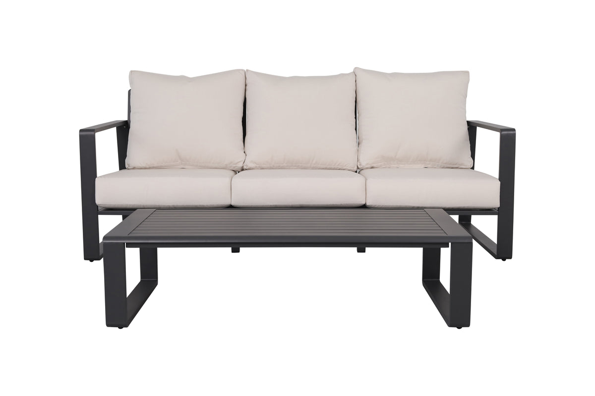 Three-Person Sofa + Rectangular Coffee Table