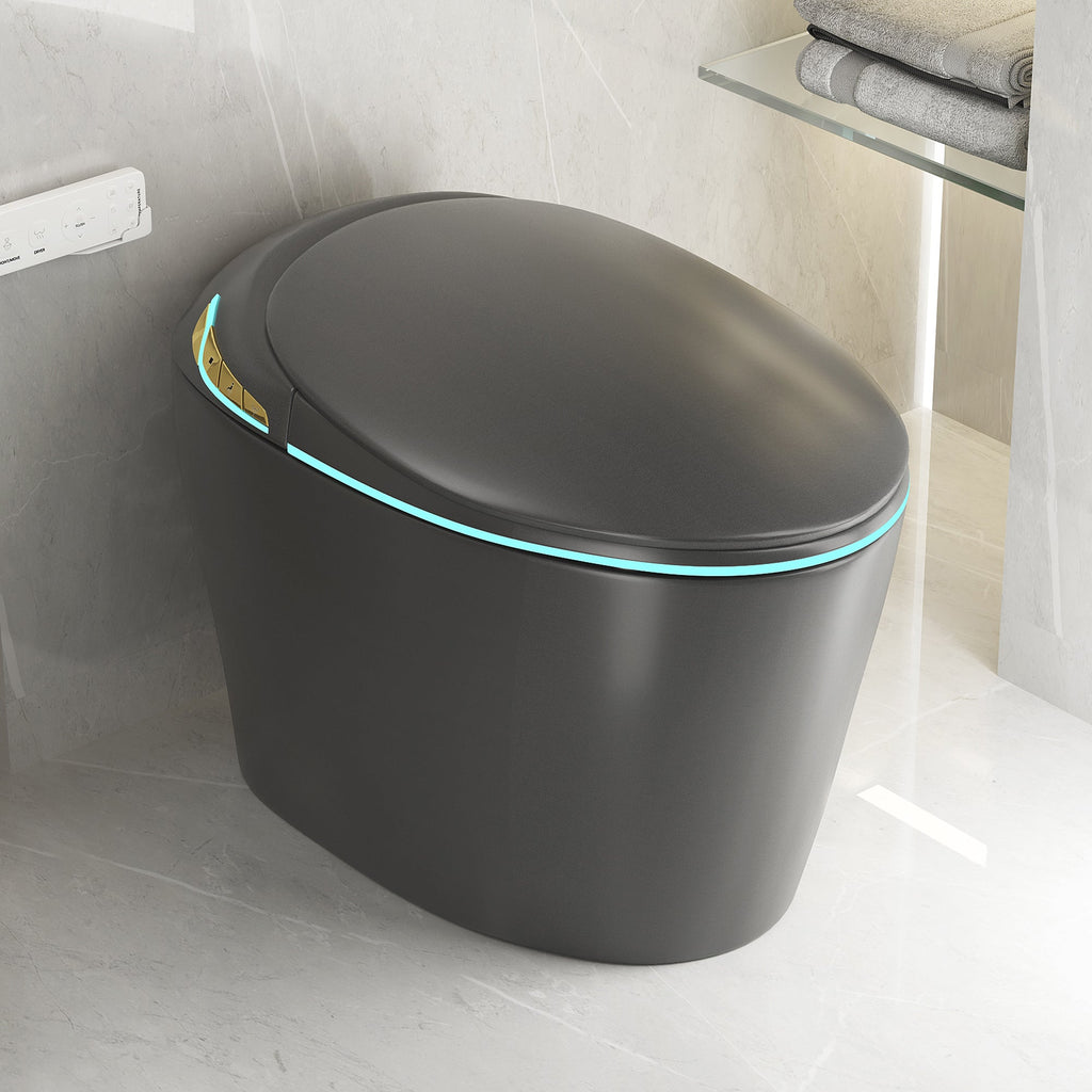 Unique Smart Toilet with Built-in Bidet