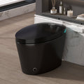 Smart Toilet with Bidet Built In - Black