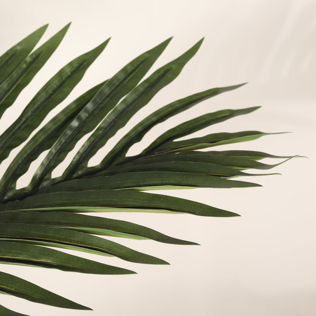 6FT Artificial Palm Tree