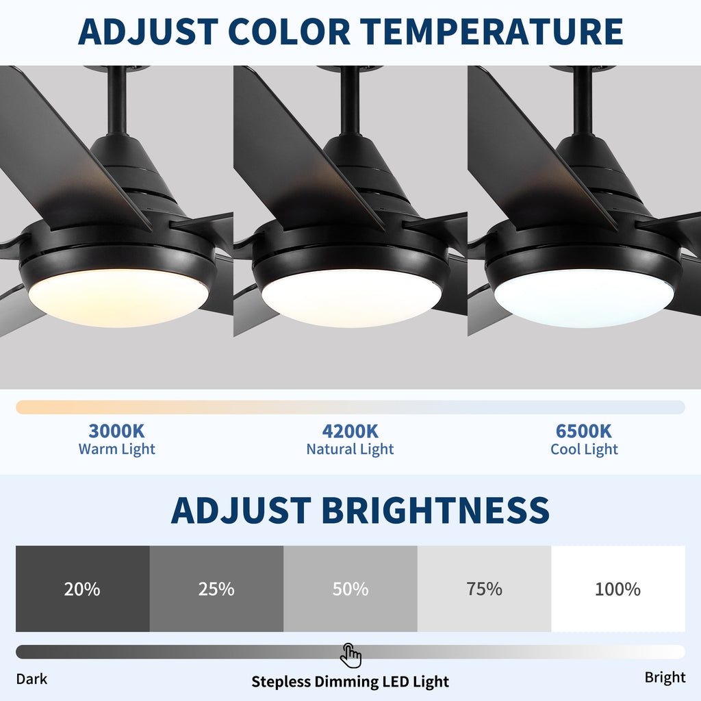 48" Ceiling Fan with Lights and Remote Control, Matte