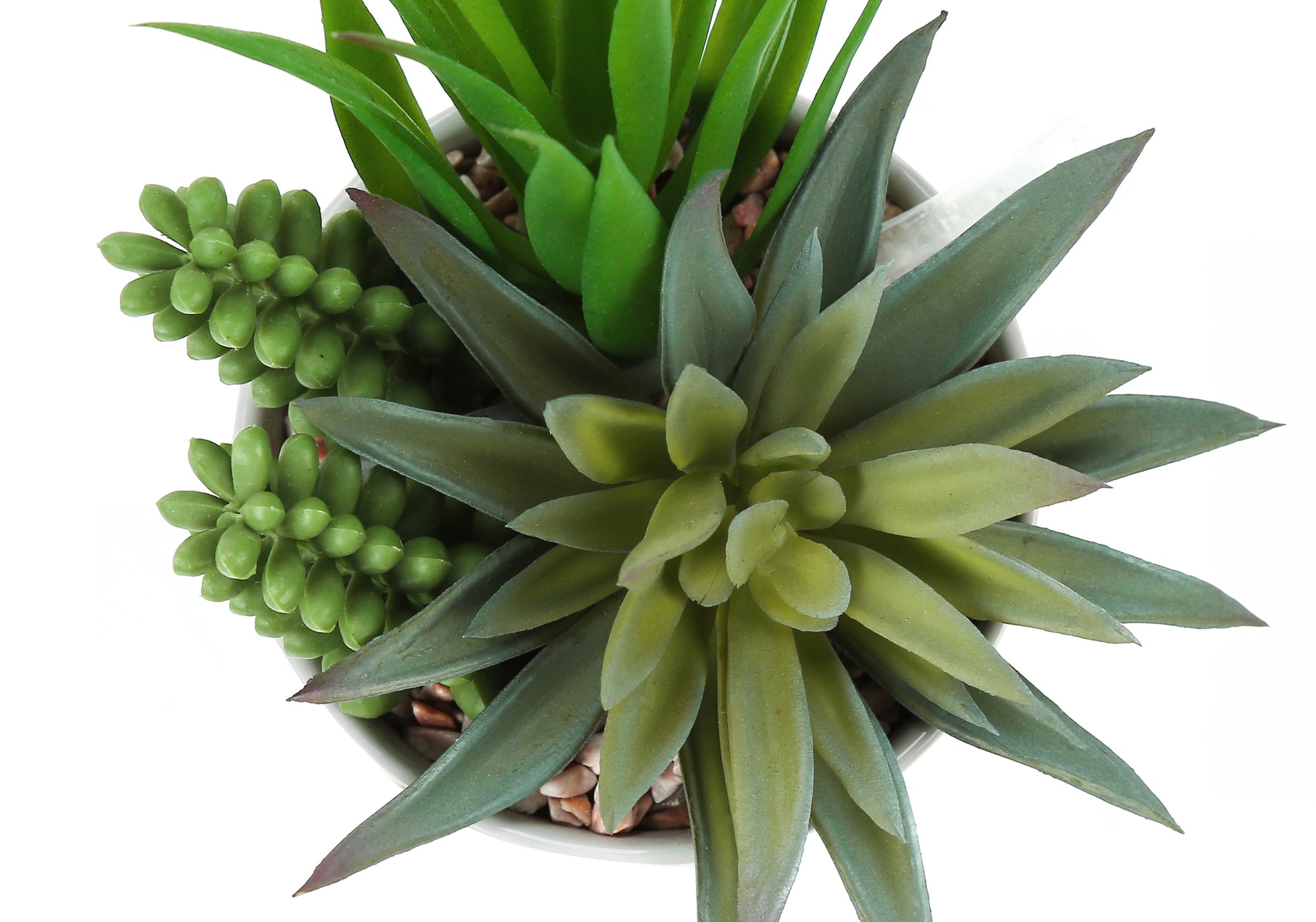 Artificial Succulent Plant Set of 2