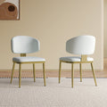 Dining Chairs Set of 2 in Modern Design