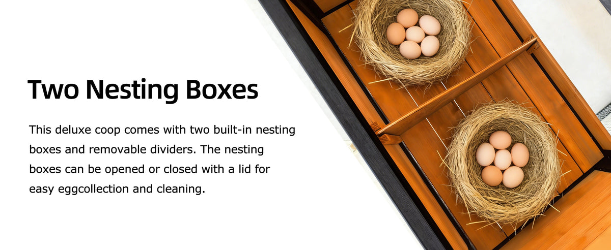 119.5” Outdoor Wooden Chicken Coop with Run