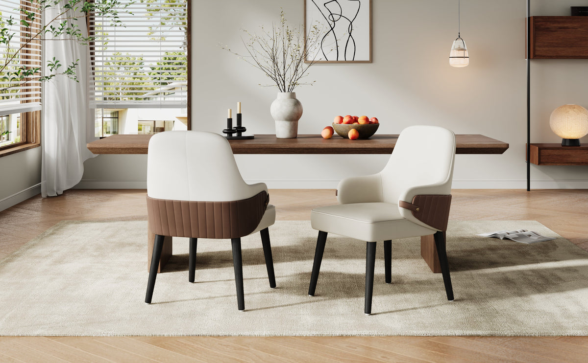 Indoor Dining Chair Set of 2