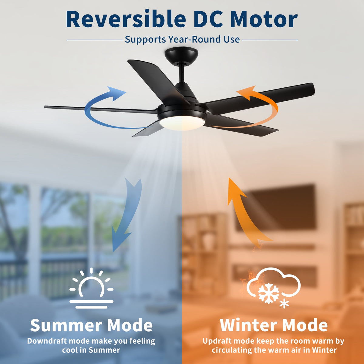 48" Ceiling Fan with Lights and Remote Control, Matte