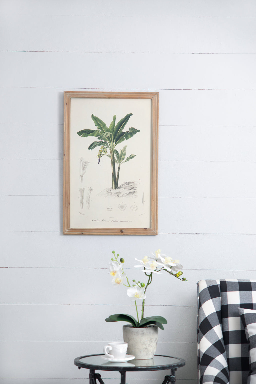 Set of 2 Tree Framed Prints