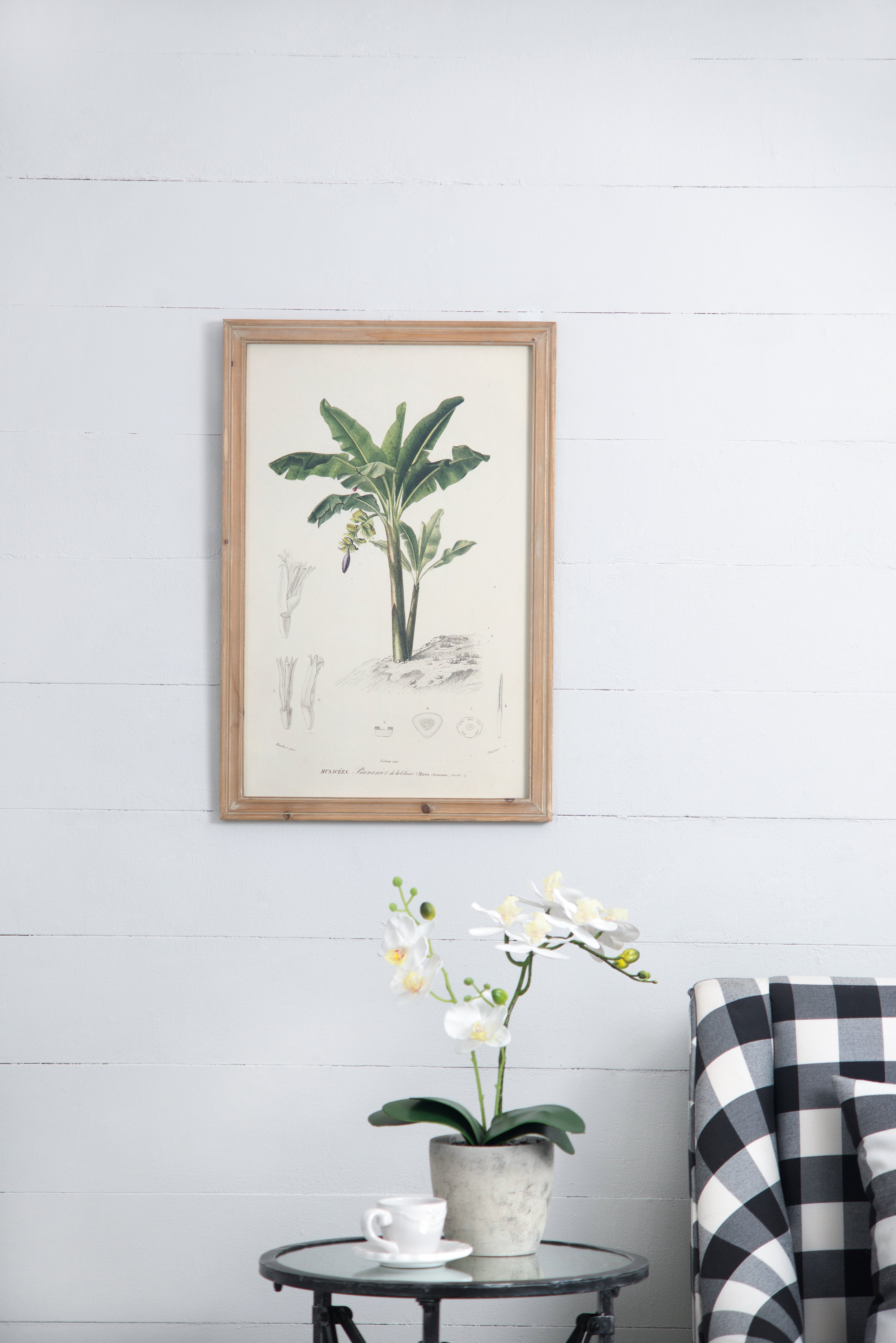 Set of 2 Tree Framed Prints