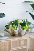 19.7x10.6x5.5" Decorative Shell Bowl