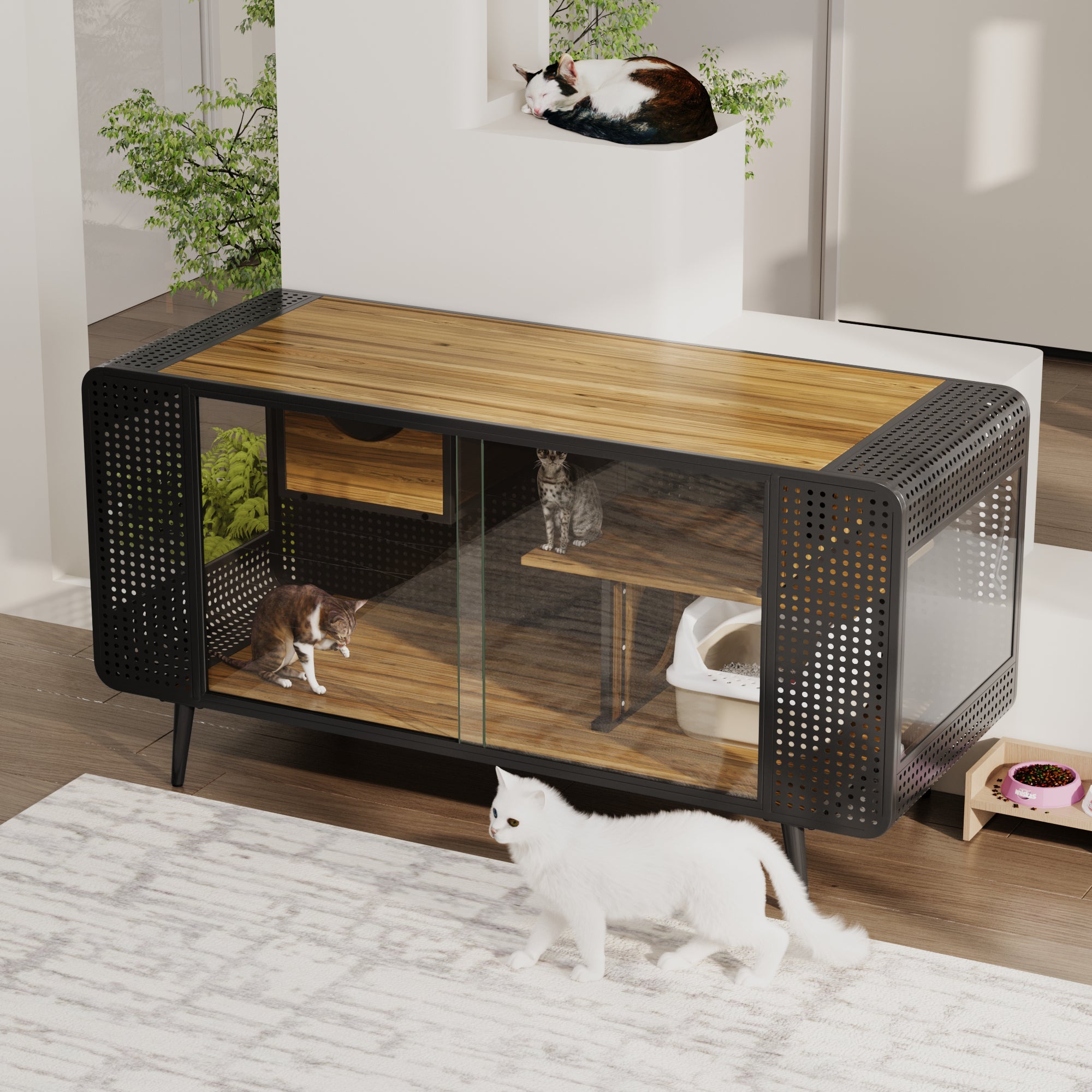 Spacious Cat House with Tempered Glass