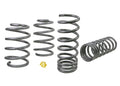 Whiteline Coil Springs - Lowered