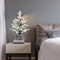 2FT Flocked Christmas Tree with Pot Base, 30 Warm
