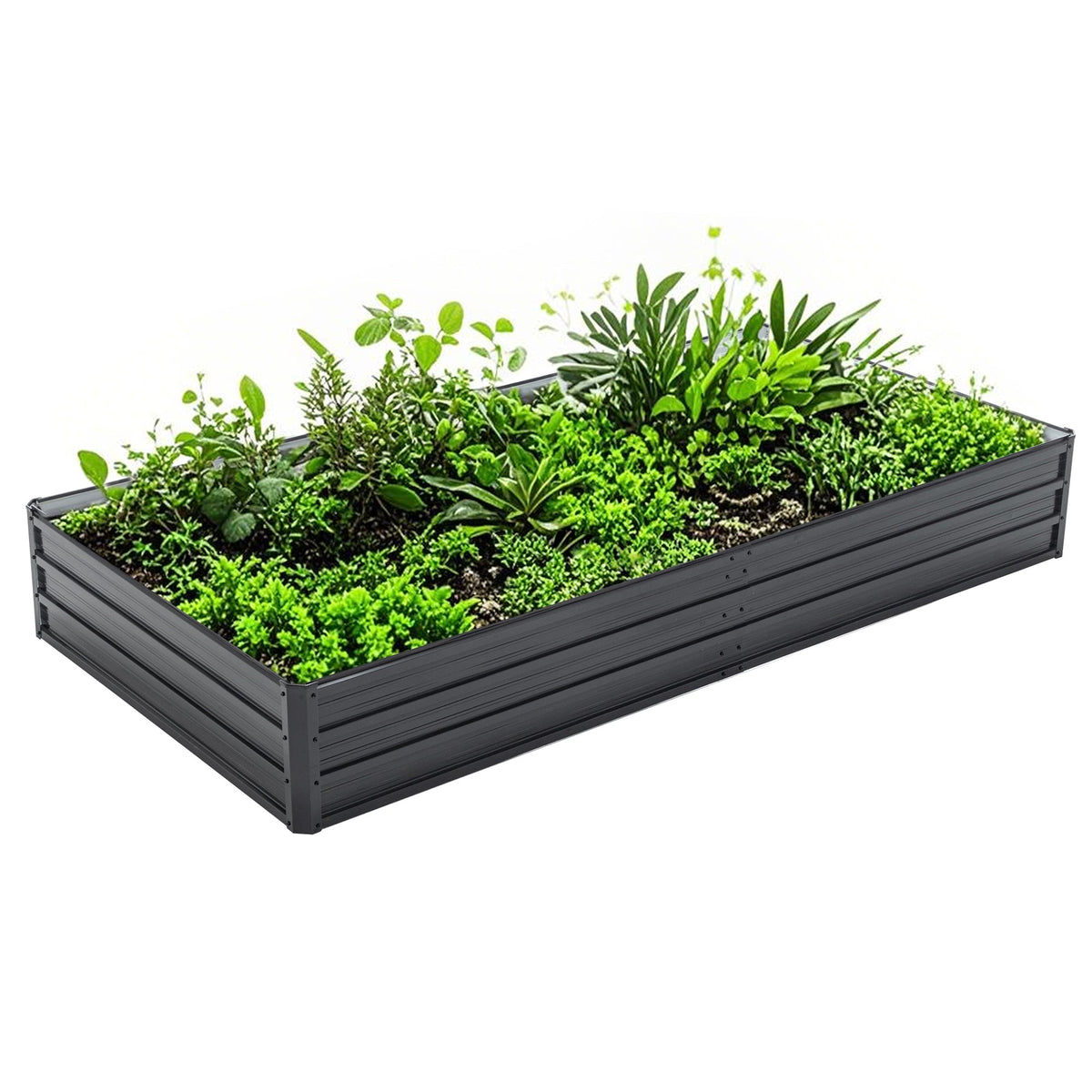 Galvanized Raised Garden Beds Outdoor - 8x4x1 ft Planter Box